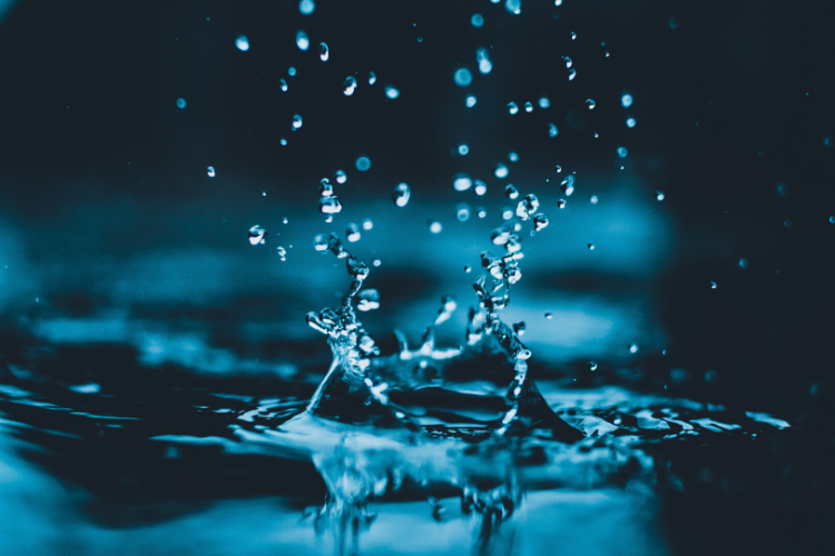El papel del agua en la lucha contra el cambio climático