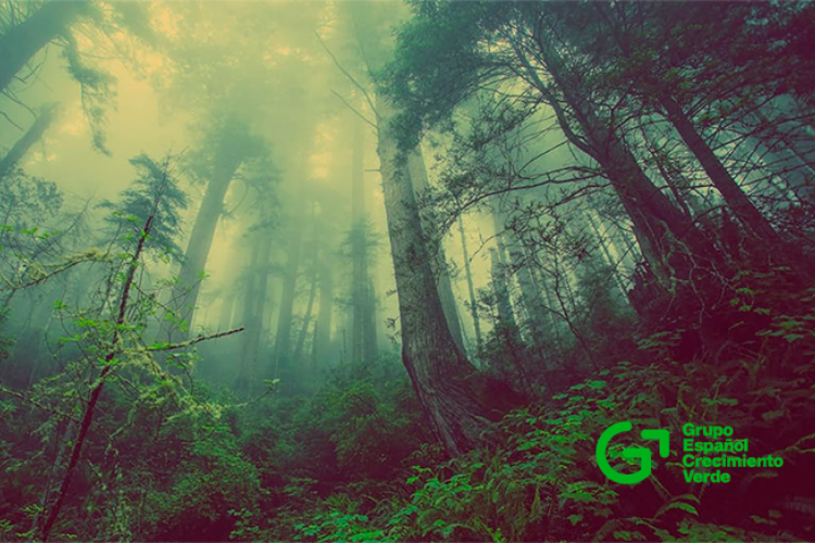 Sicasoft participa en los paneles técnicos del Grupo Español de Crecimiento Verde